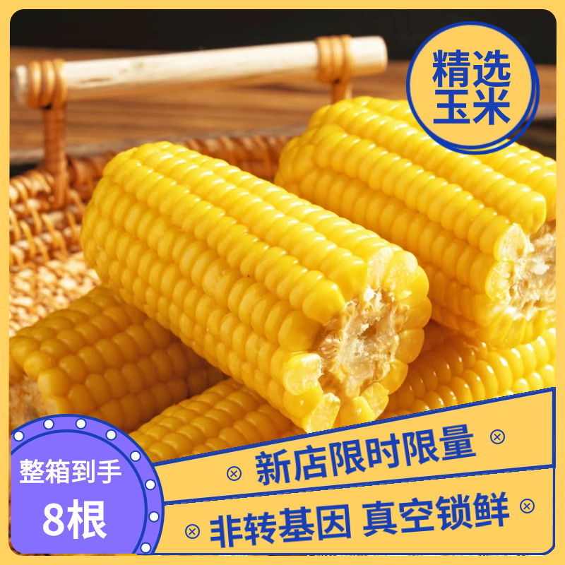 东北优选甄选8根黄糯玉米黑龙江食用金黄甜糯玉米真空锁鲜加工