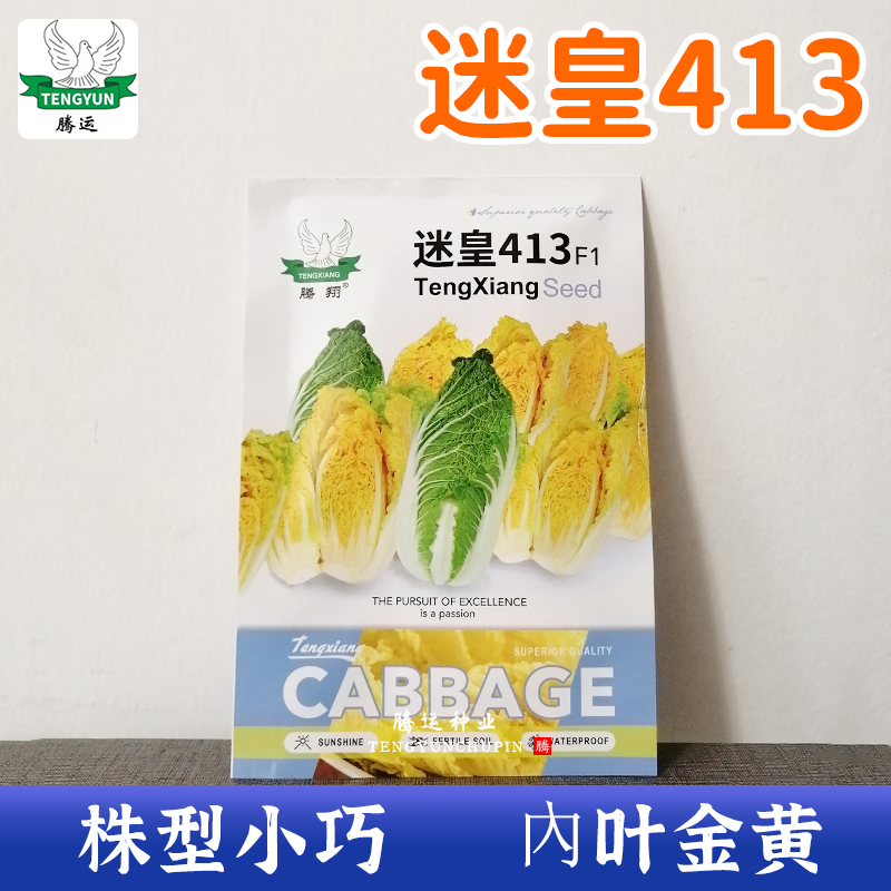 迷皇413娃娃菜种子 白菜籽孑耐热秋季菜籽娃娃菜阳台蔬菜菜种杂交