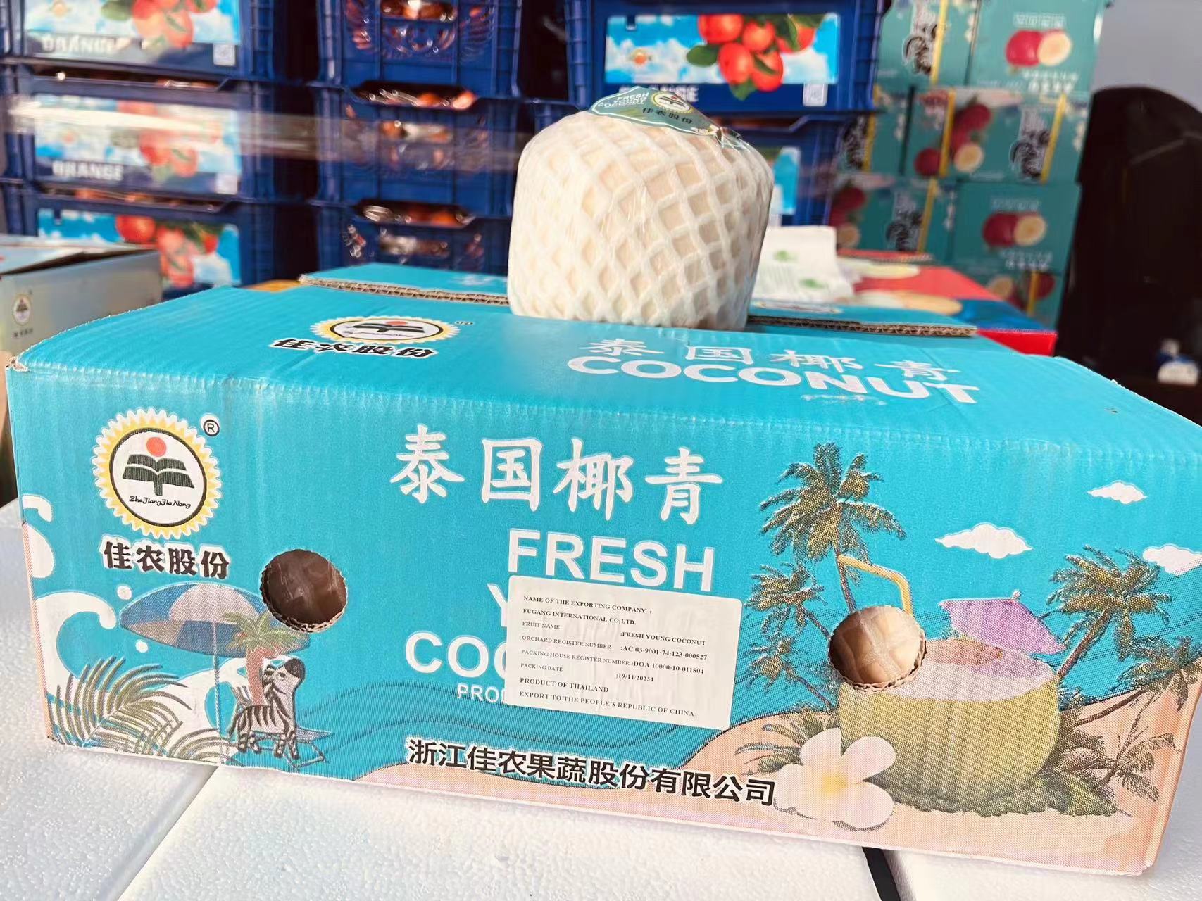 【勾庄直达】佳农泰国椰青 1个（包装随机）