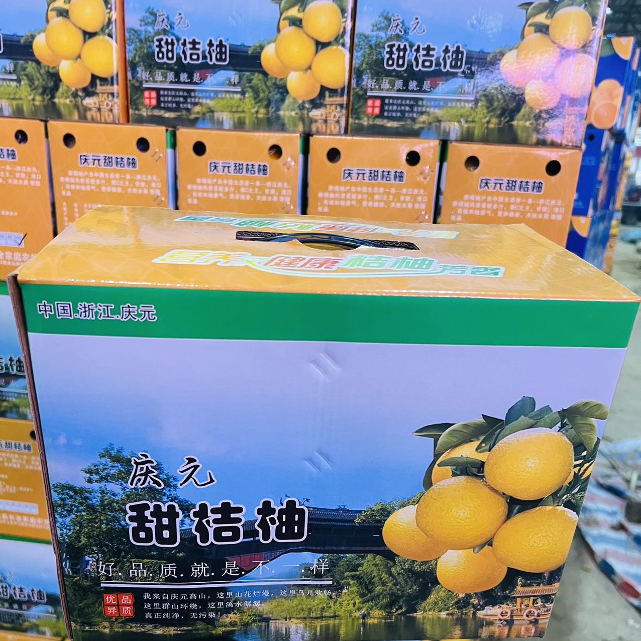 【勾庄直达】甜桔柚礼盒约9.5斤（BP08）