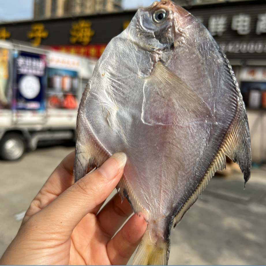 海未叶子 东海海捕野生风干鲳鱼鲞 250g/包 5包装
