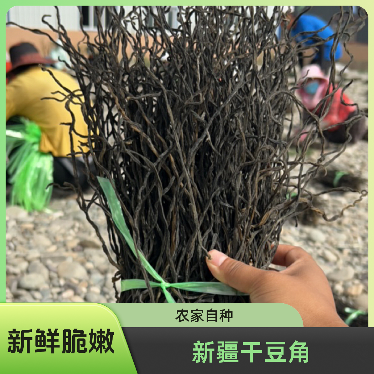 【达人专属】新人尝鲜价新鲜豇豆干农家自种新疆干豆角