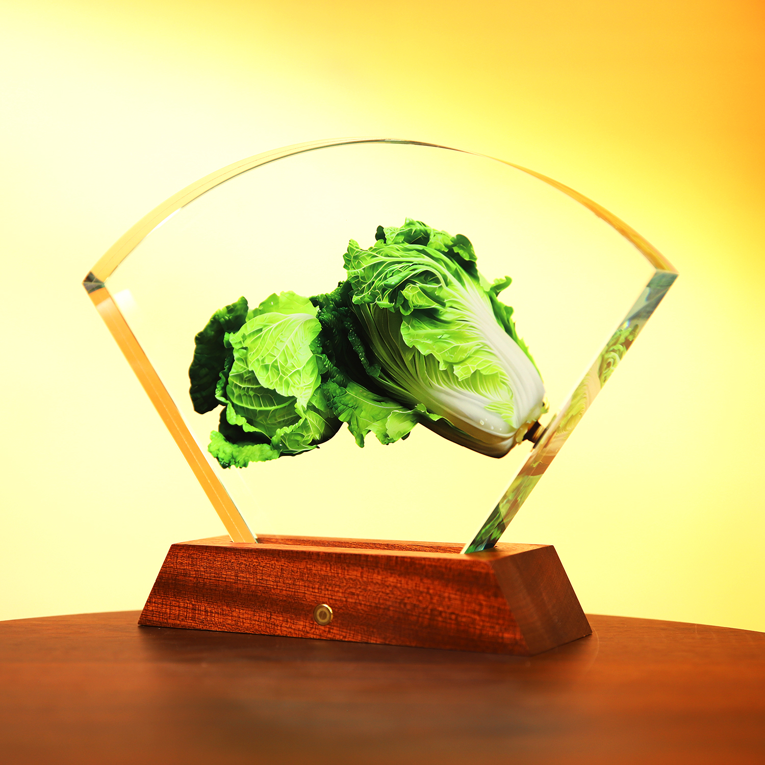 【扇形白菜】雕刻在水晶里面 发光水晶砖摆件装饰品家居 卧室 客厅