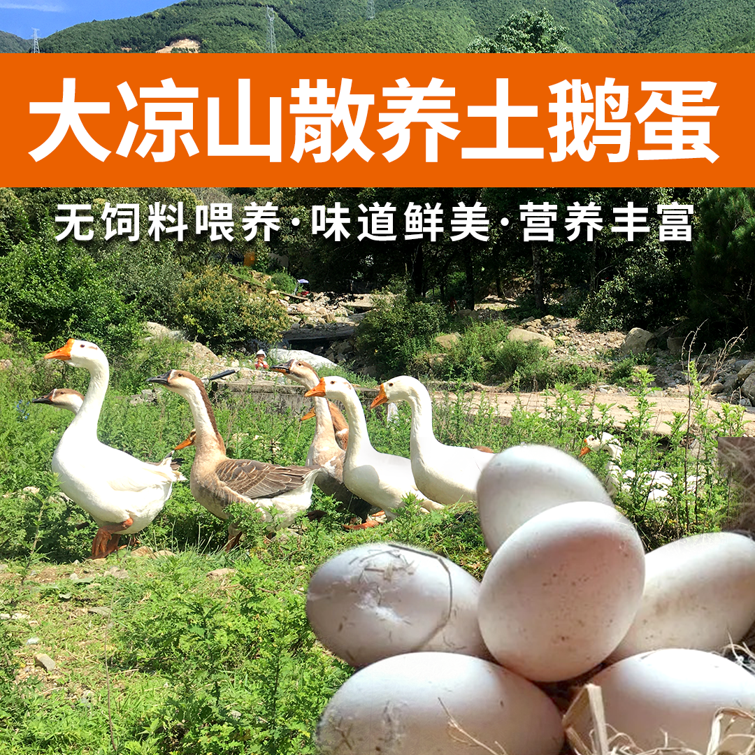 正宗农家散养大鹅蛋孕妇宝妈放心土鹅蛋新鲜超好吃现捡现发包吃完