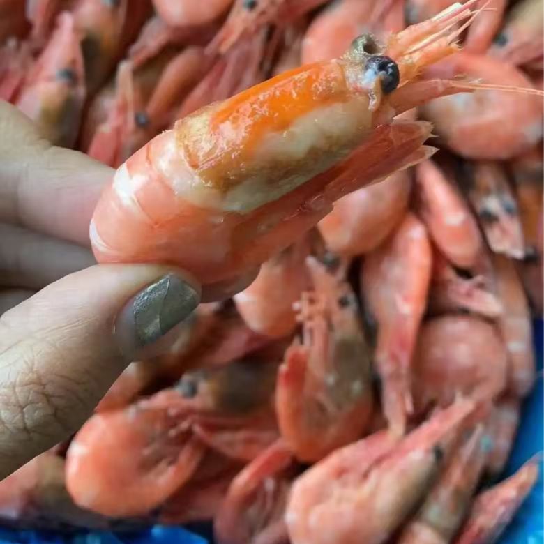 深海北极甜虾花头
