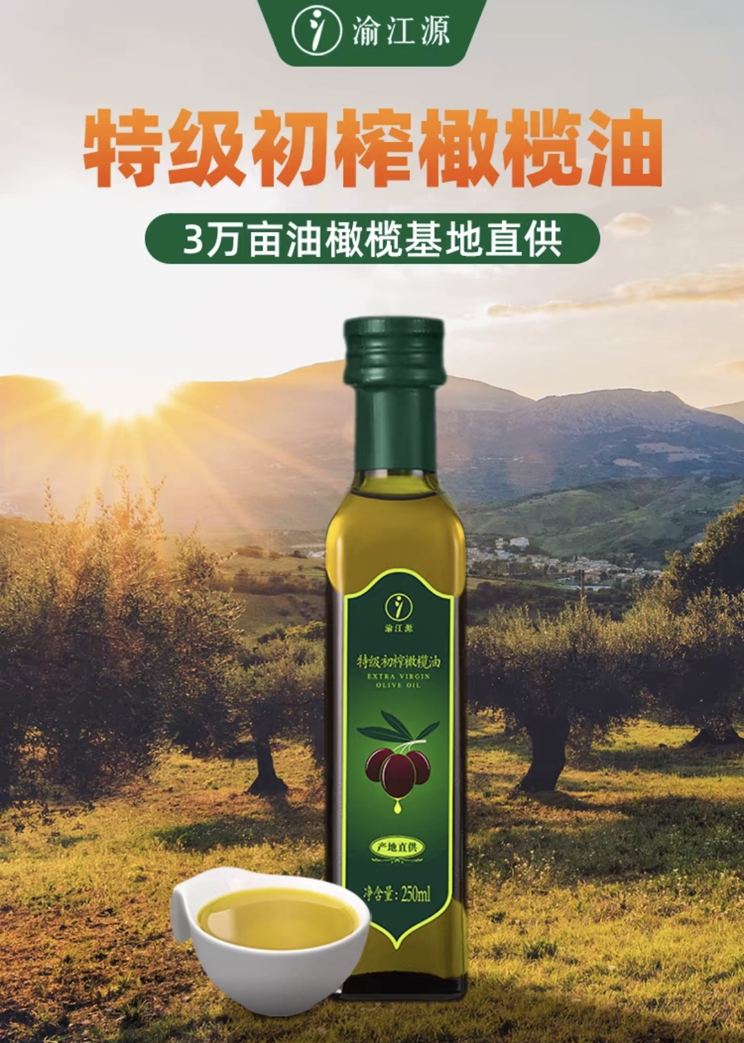 重庆合川隆兴镇万亩油橄榄产地专用直发橄榄油初榨特级包邮父亲