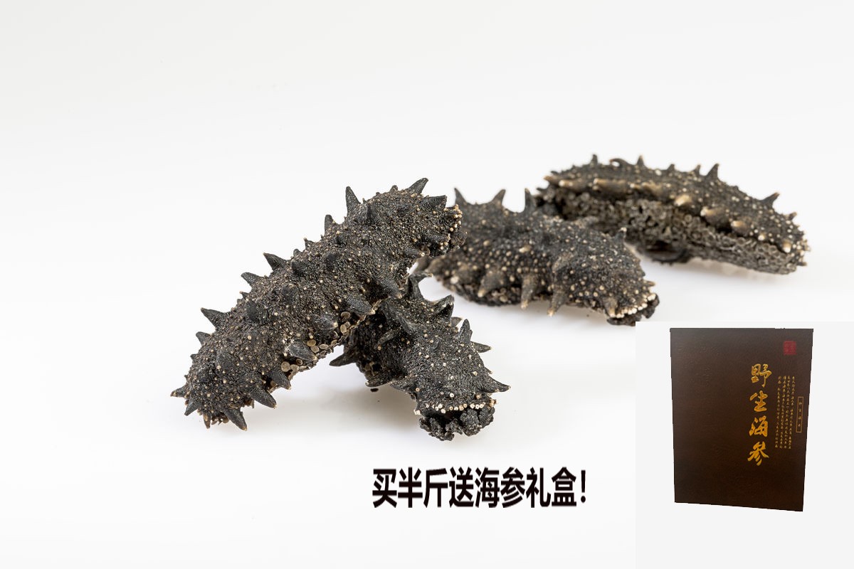 【国标】淡干海参250g（直播间下单）