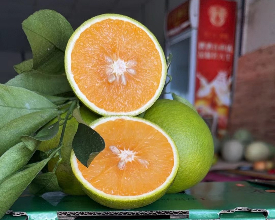 正宗海南琼中绿橙应季水果产地直发正宗绿橙海南琼中绿橙