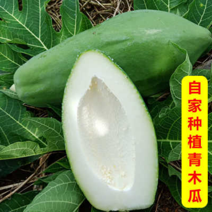 广西青木瓜新鲜现摘水果腌酸番木瓜凉拌炖汤煲汤生木瓜产地直发