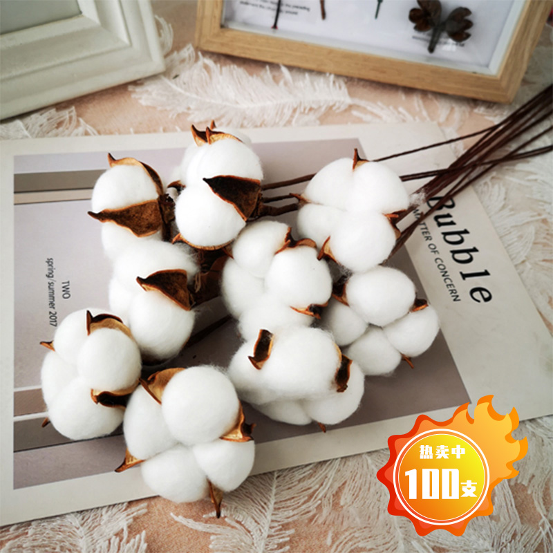 【花约】10包100支干棉花圣诞暖冬花束装饰干花diy配件拍照道具