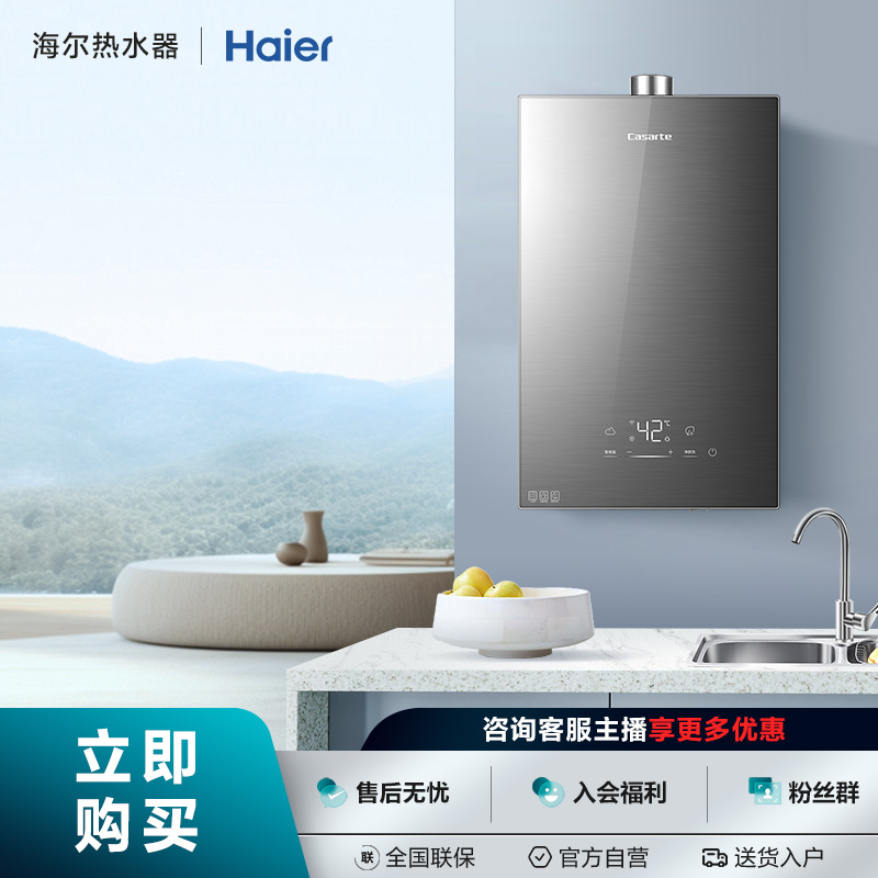 Haier/海尔家用智控燃气热水器CW3