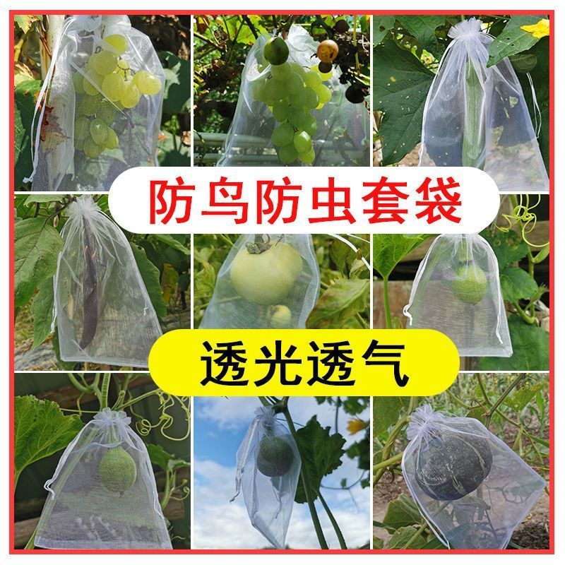水果套袋防鸟防虫专用网袋葡萄无花果枇杷芒果苹果袋草莓保护袋子