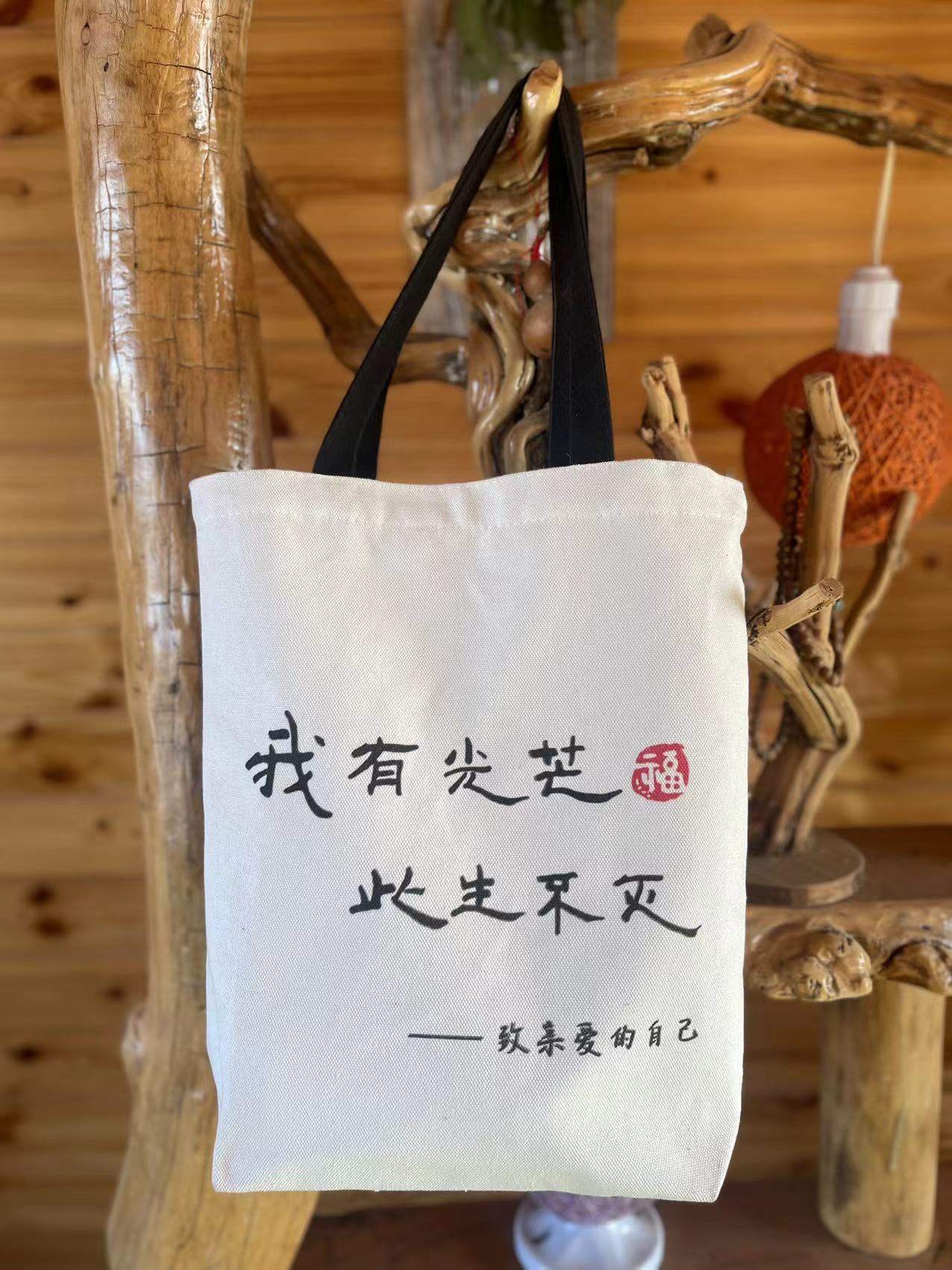 暖儿姐原创帆布包百搭简约学生文艺