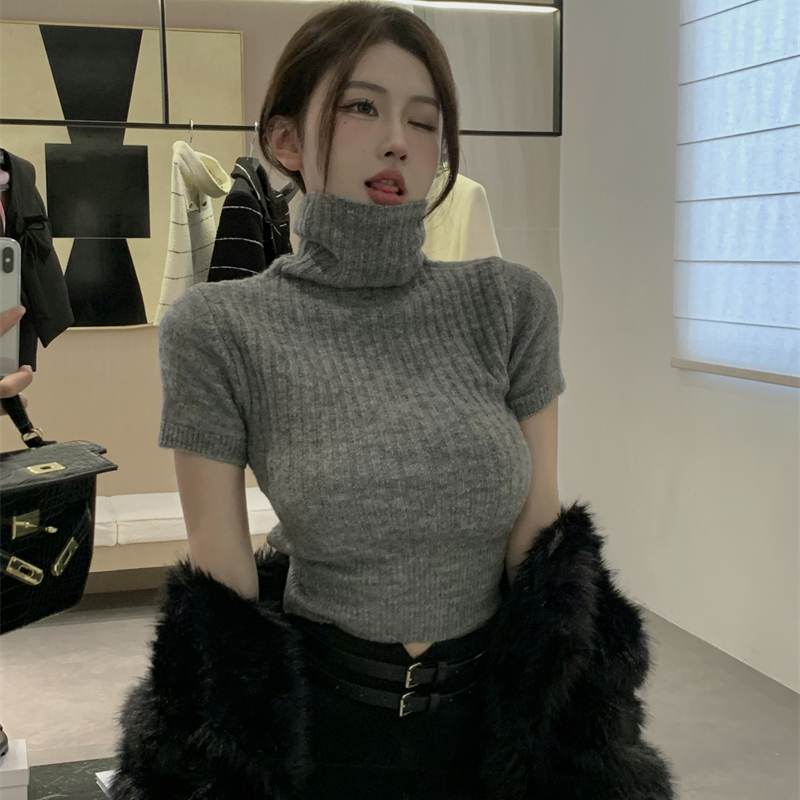 灰色内搭高领可外穿针织打底衫女春秋季法式高腰气质短款短袖上衣