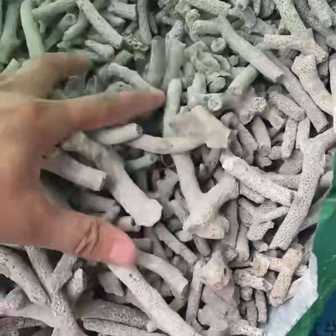 鱼缸珊瑚骨精选珊瑚石砂鱼海鲜池养殖过滤材料底沙调节PH值送网袋