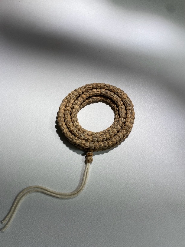 澄也出品热振脏鬼尸托林大肠