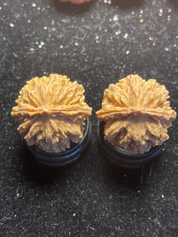 双包胎骨质超硬手捻小榴莲