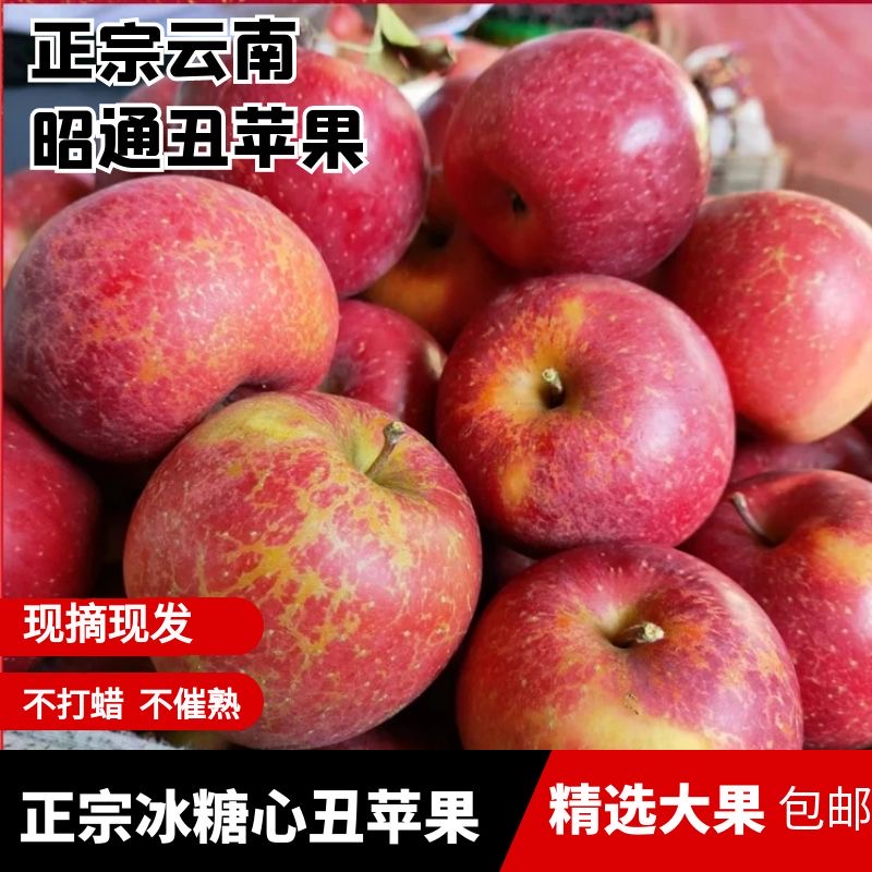 云南丑昭通苹果冰糖心原生态营养脆甜当季新鲜水果现摘昭通丑苹果