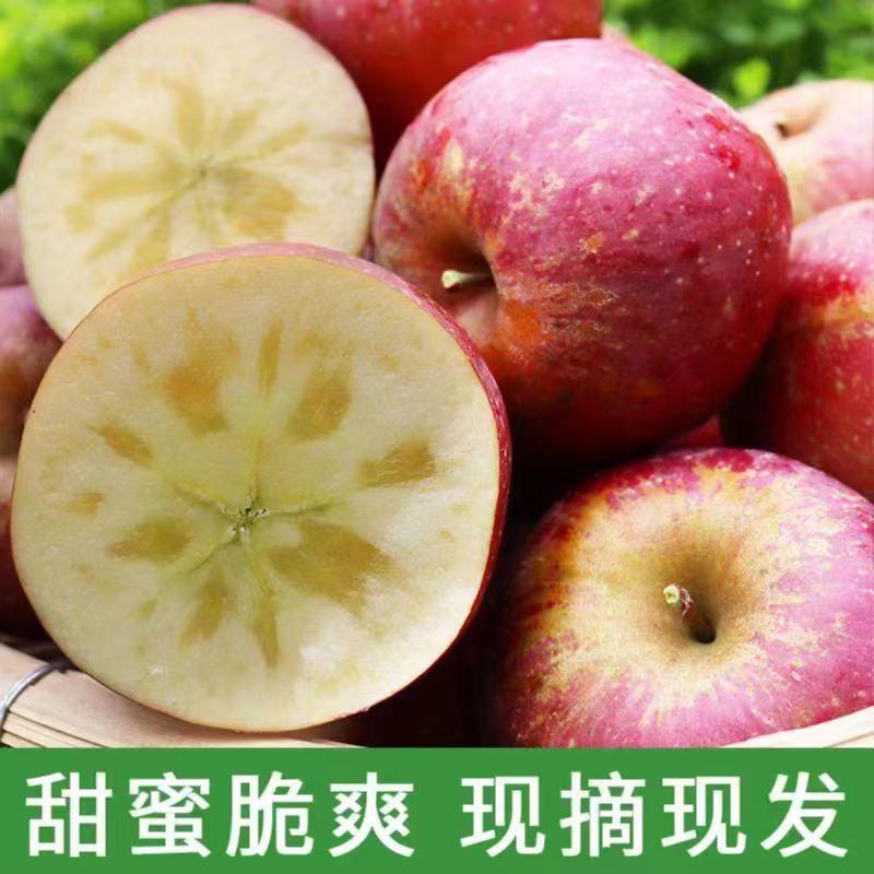 当季云南昭通冰糖心丑苹果新鲜脆甜营养重量3/5斤昭通丑苹果