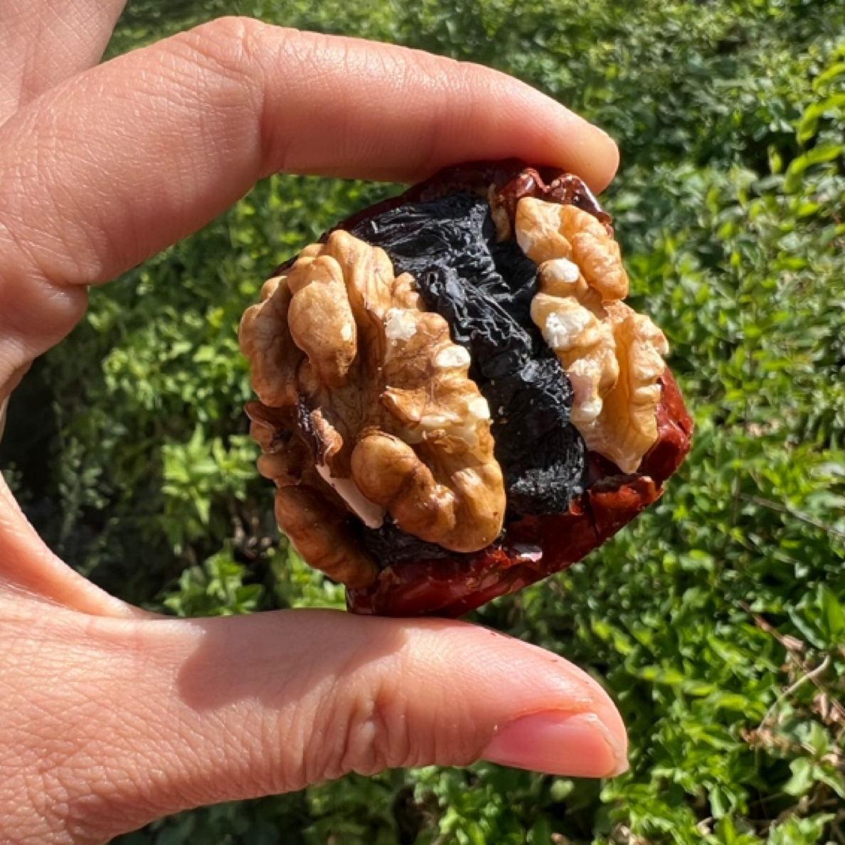 枣夹核桃黑葡萄干，个大料足甜而不腻