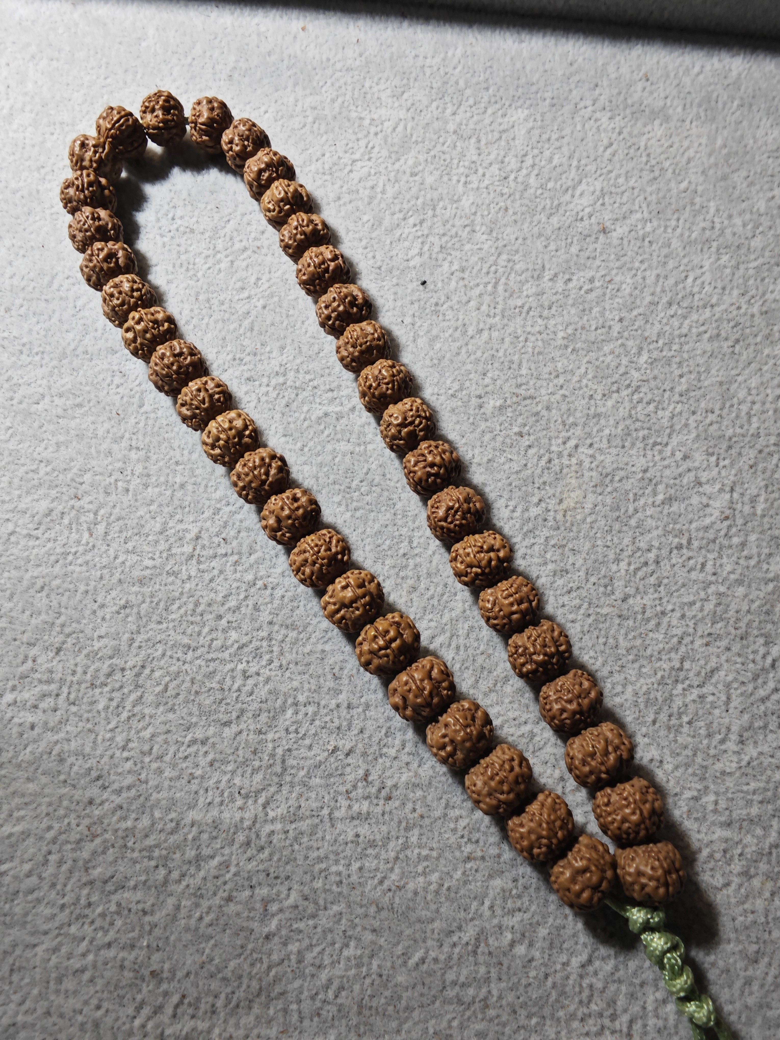 印尼纯血树王梅花9手持压车勿拍