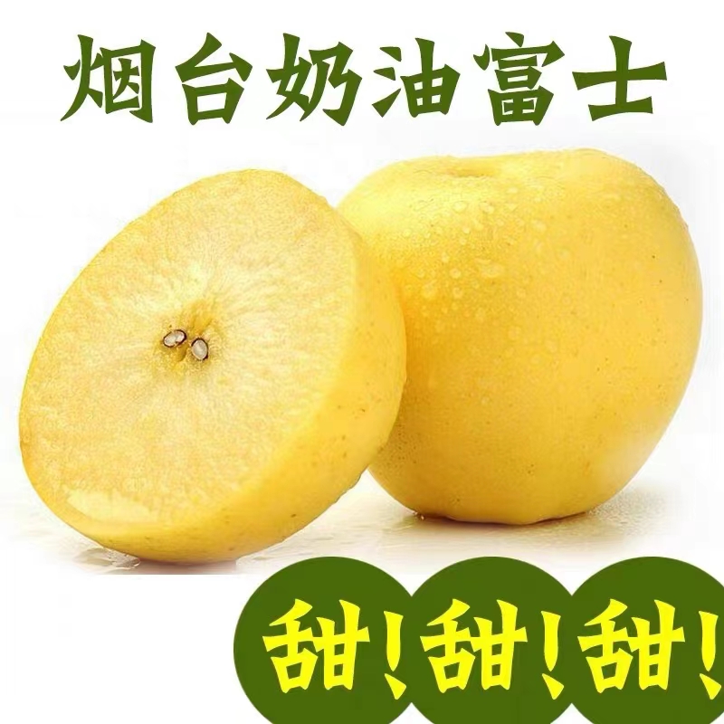 顺丰快递烟台奶油富士苹果产地直发脆甜多汁黄金苹果农家新鲜苹果