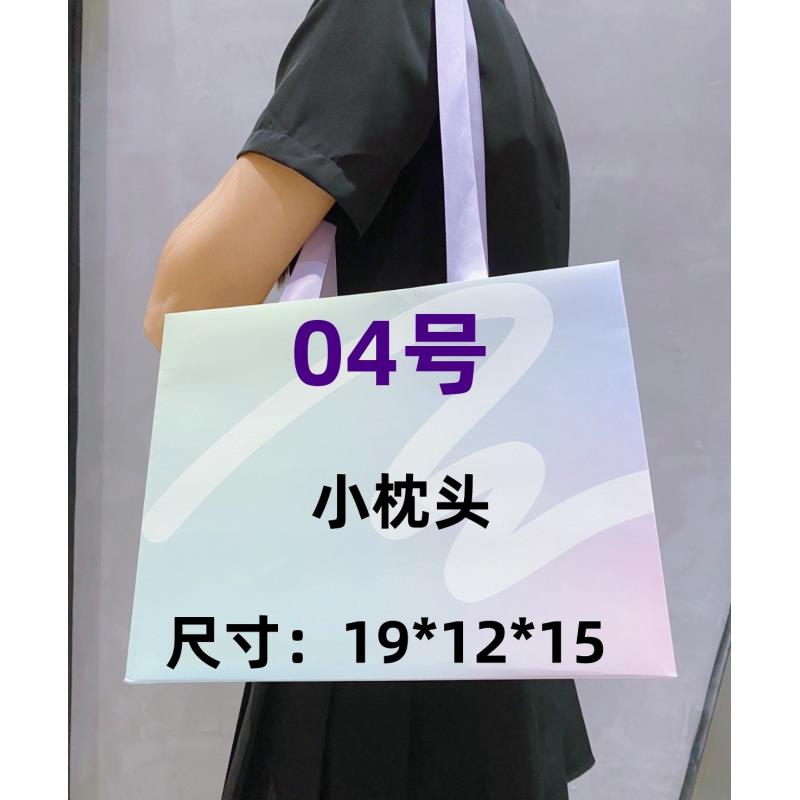 04号 2023秋冬时尚百搭小枕头包  8801