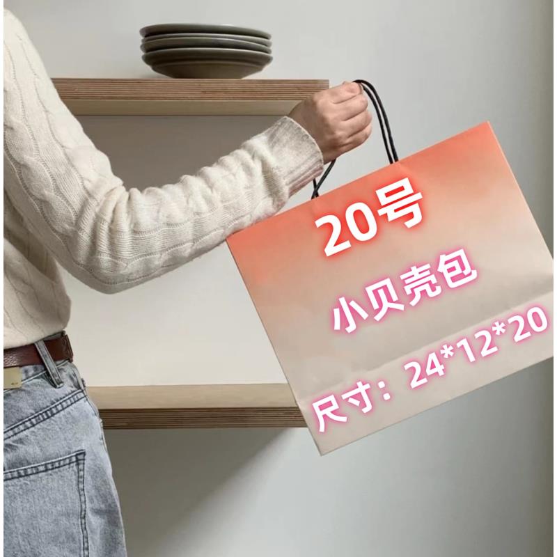 20号  冬季时尚百搭小贝壳包#929