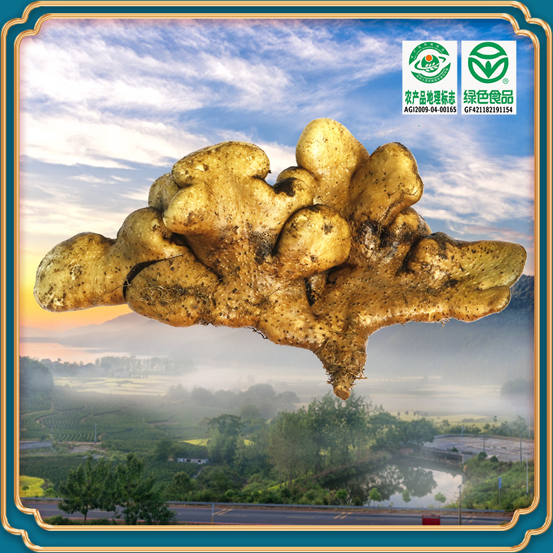 湖北武穴佛手山药梅川产地新鲜现挖现发煲汤营养佳品