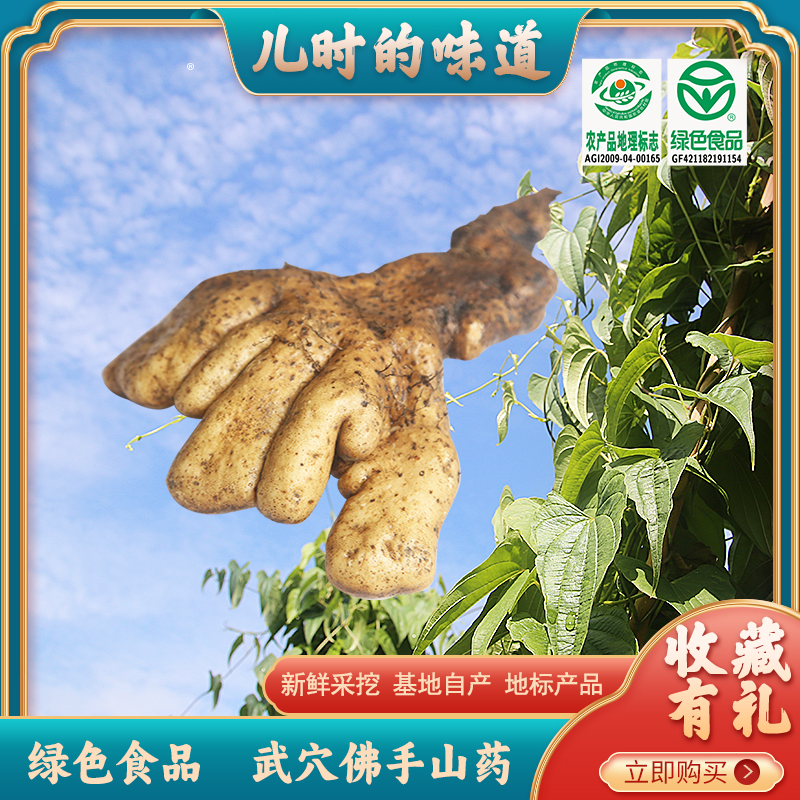 香噗噗湖北特产武穴佛手山药绿色食品余川梅川原产地精品新鲜现挖