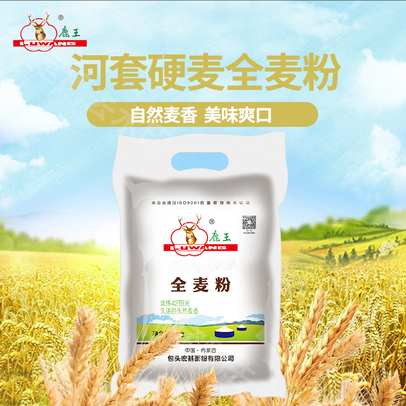 鹿王面粉家用5kg 正宗全麦面粉 高筋面粉面包专用 包子馒头专用粉