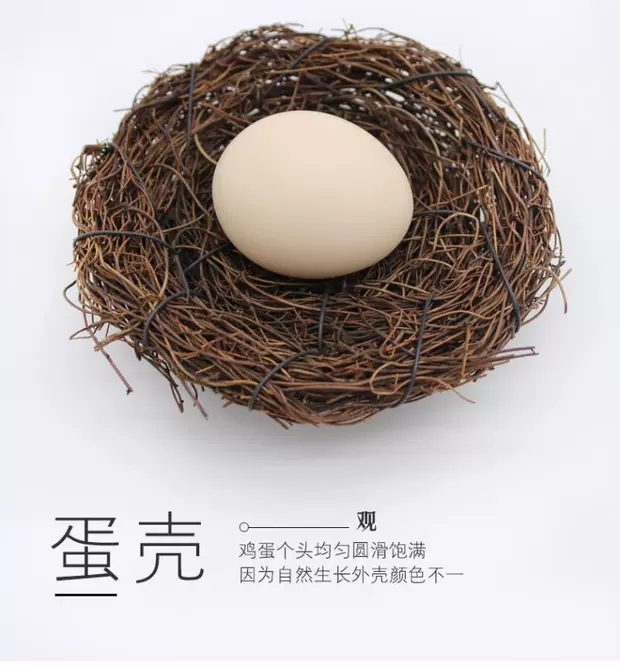 宠物猫狗通用食品蛋，