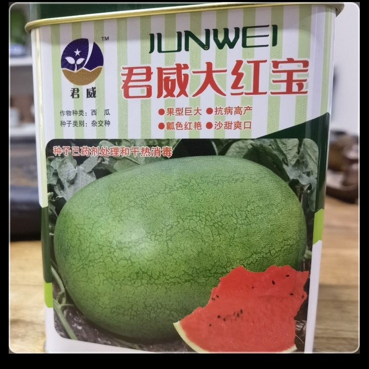 新红宝西瓜种子。大果型一盒1000粒种子
