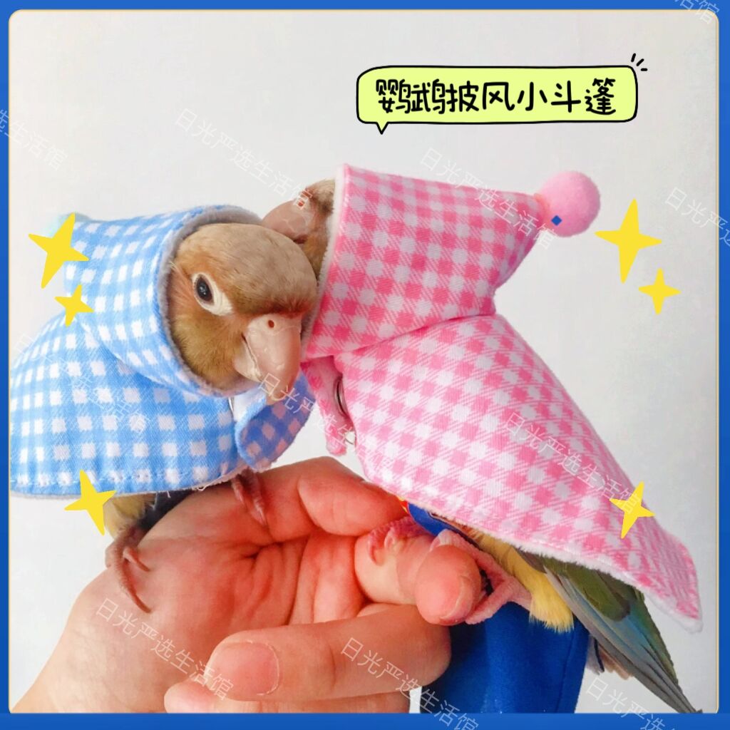 鹦鹉披风小斗篷防飞服过冬鸟衣服虎皮玄凤围脖防咬防啄保护项圈