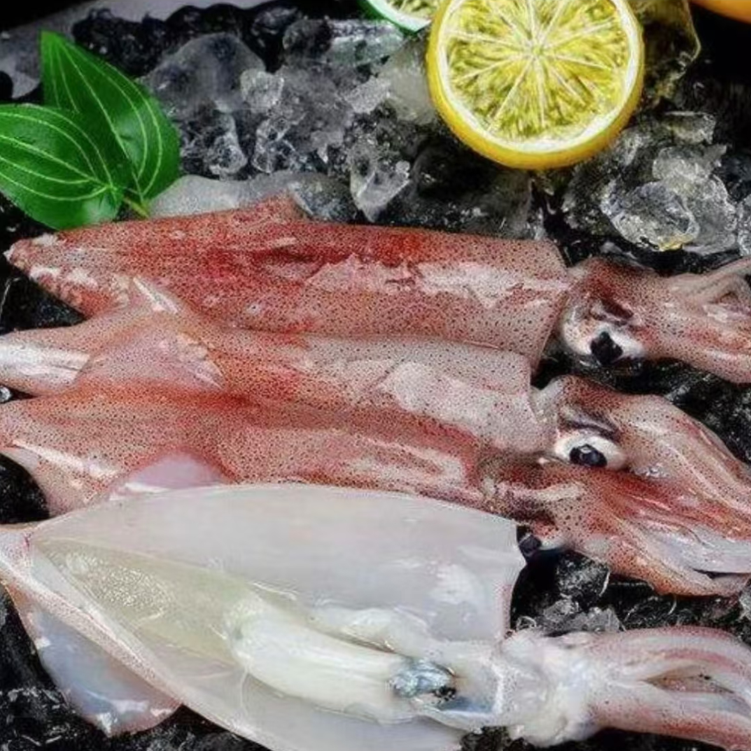 【青岛一脚泥合作社】红比管  极速锁鲜速冻发货 3.2斤4盒