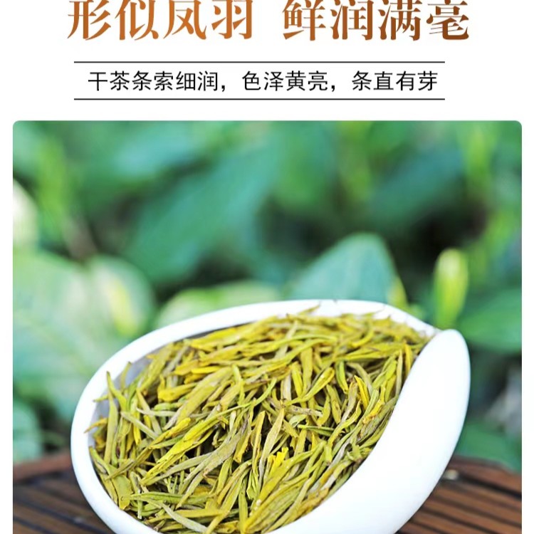2025年新茶明前鲜嫩高山黄金芽送礼佳品好喝不贵免费试喝青绿茶