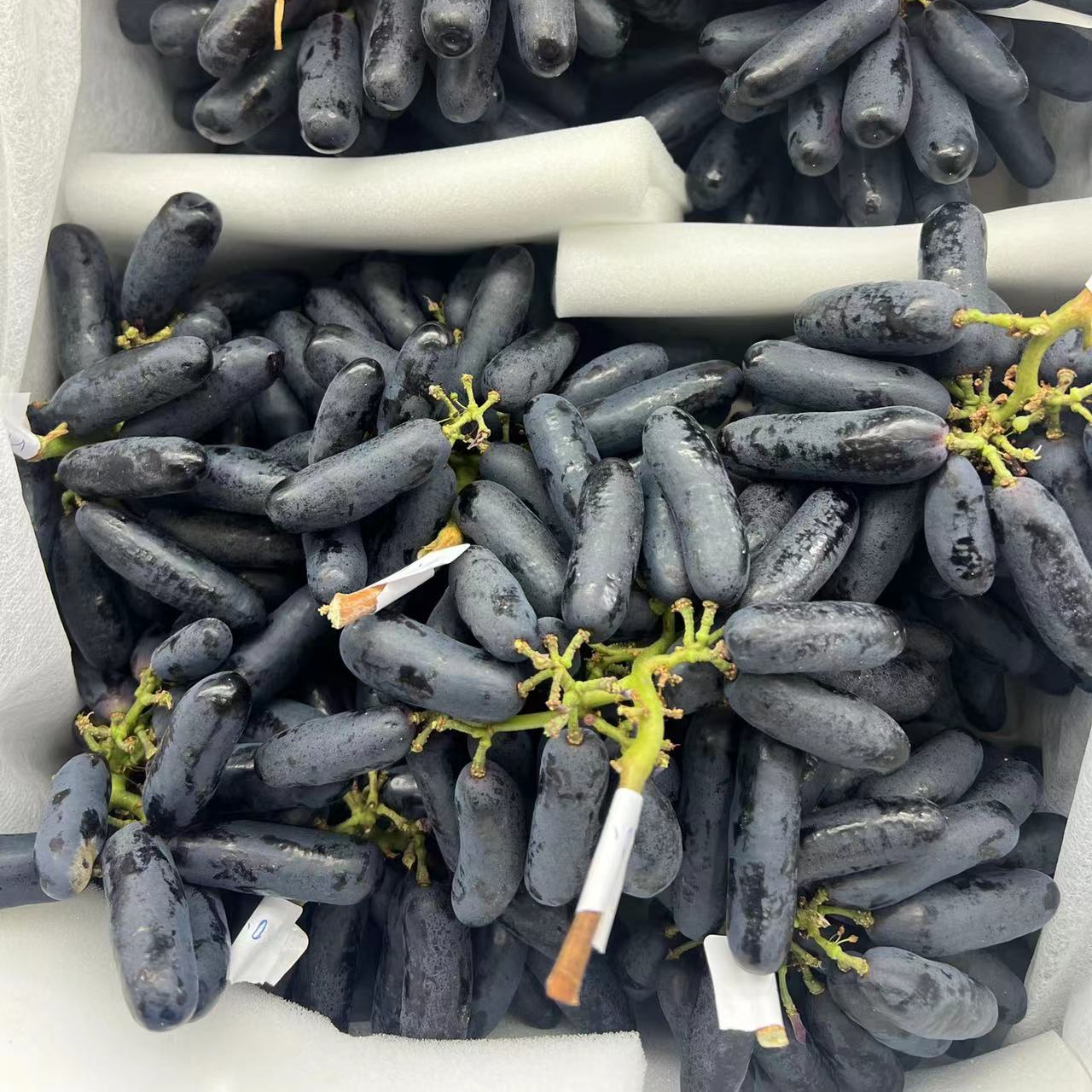 【吉林市同城配送】美人指