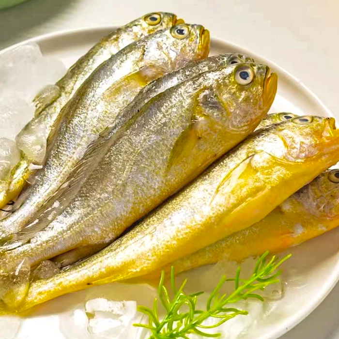 新鲜深海小黄花鱼 新鲜速冻10条/包 500g/包到手4+1包 黄花鱼