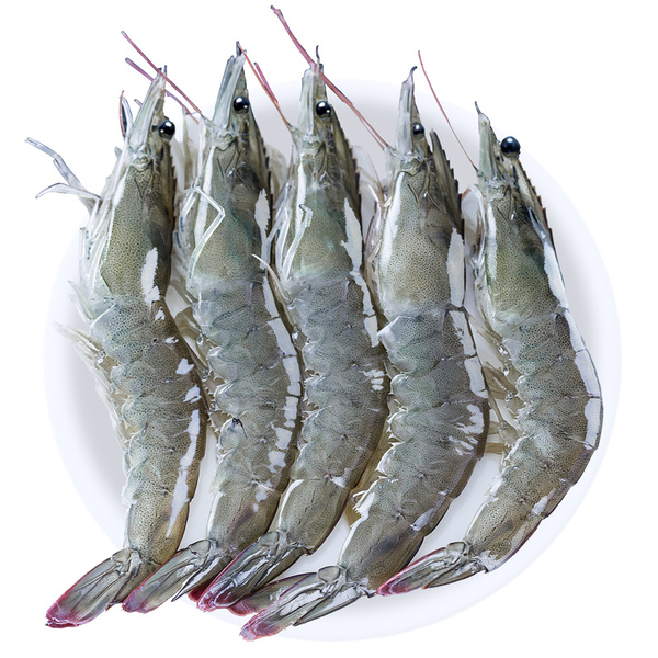 大大号20-30规格 活冻海虾 大虾 海对虾 10-15只/斤 净重3斤