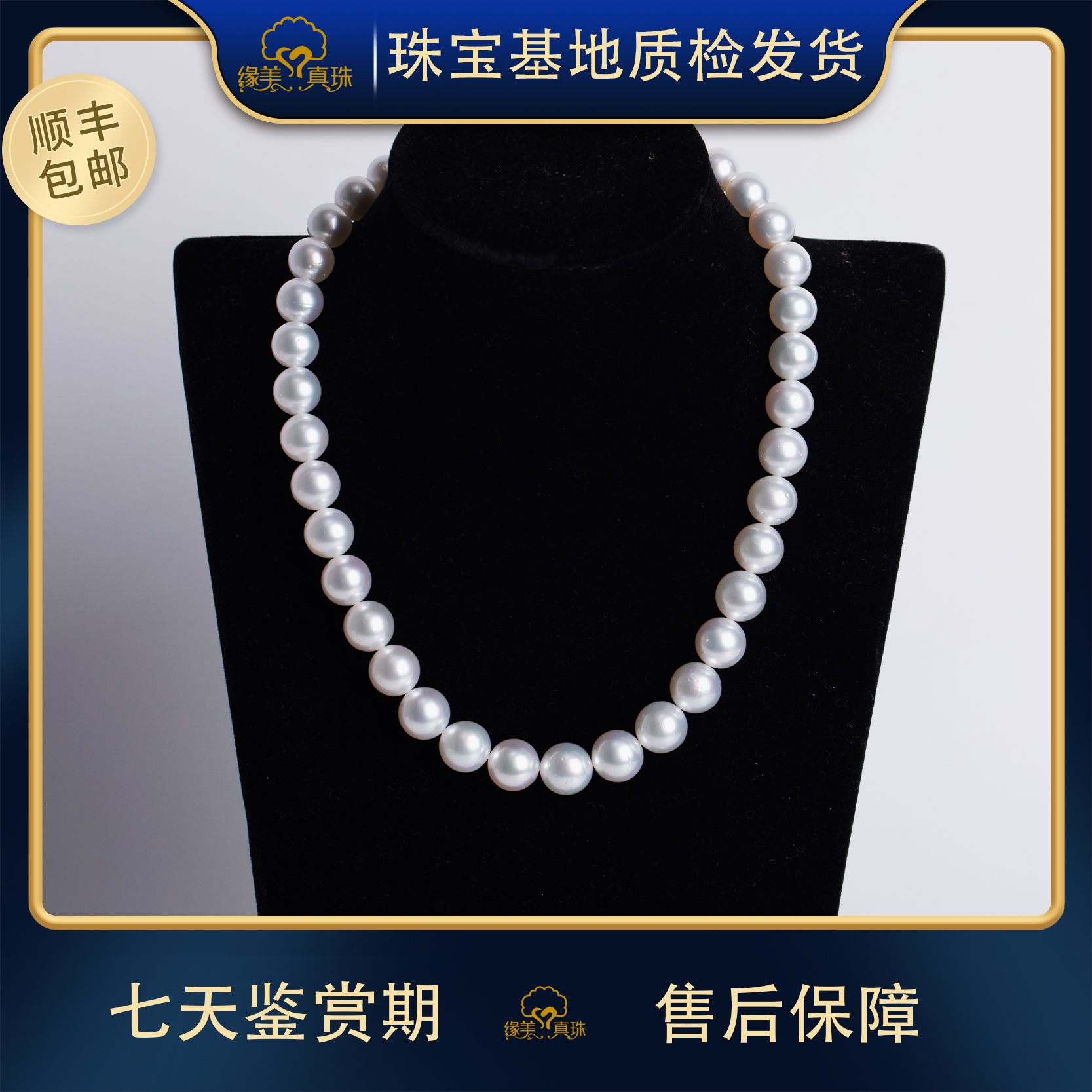 【缘美真珠XL503】天然海水澳白珍珠全珠链9-11MM真科研凤凰证书