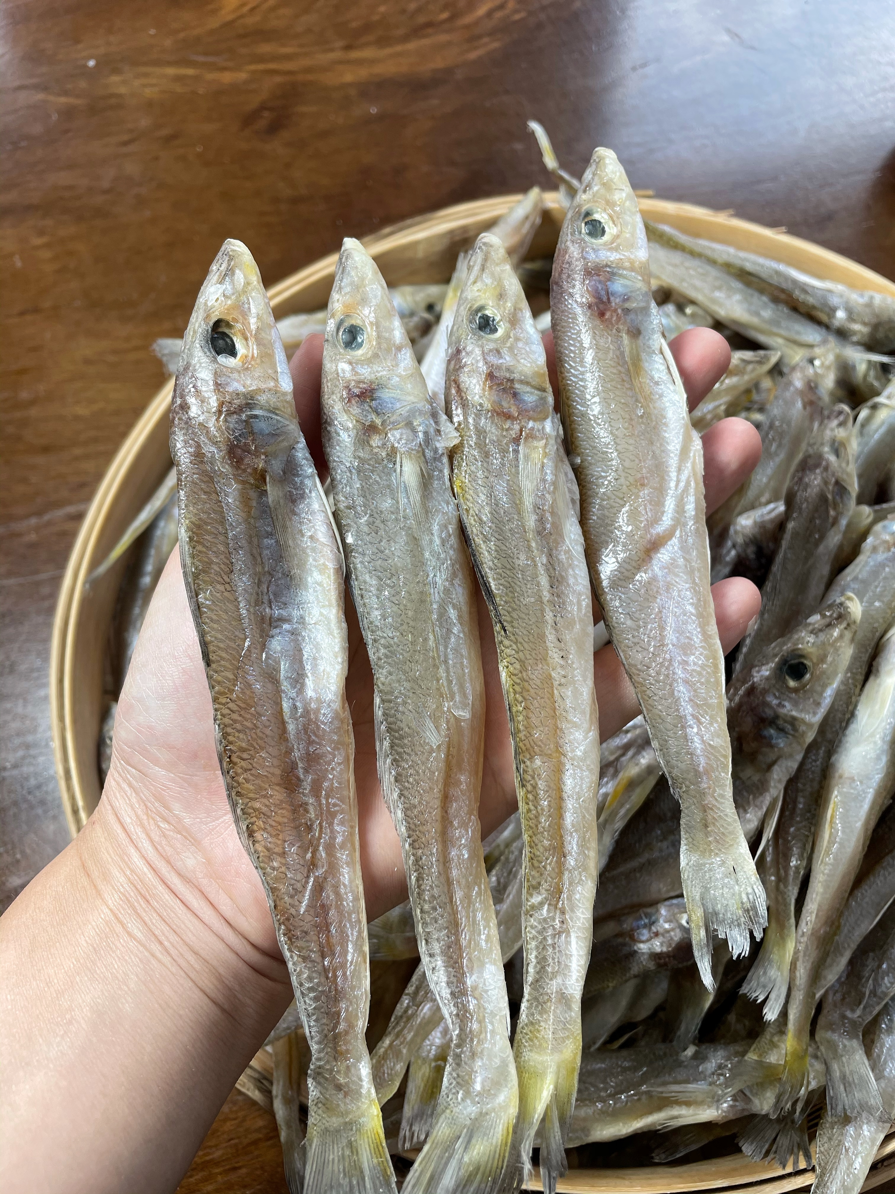 湛江本港捕捞新鲜鲜活沙尖鱼干沙锥鱼干500g