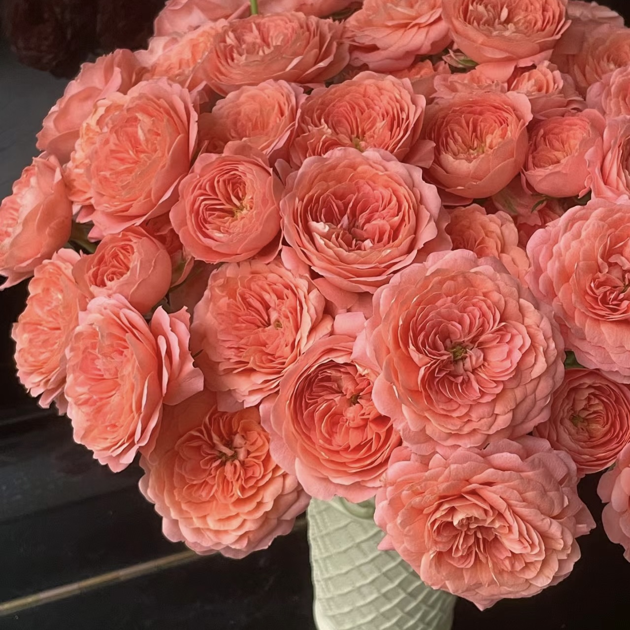 【探花甄选】杏色果汁玫瑰 （到货带包装醒花） 任意两单鲜花顺丰包邮