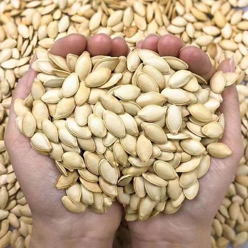 【无干燥剂】正宗内蒙中小颗粒纸皮南瓜子现炒椒盐原味南瓜籽批发