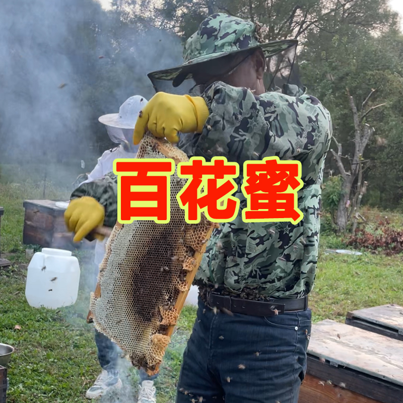 2025年 新蜜 百花蜜 蜂蜜东北农村大山深处蜂蜜 杂花蜜 500g 