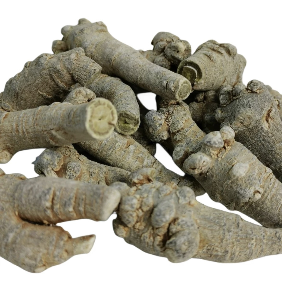 云南文山三七高品质滑头30头