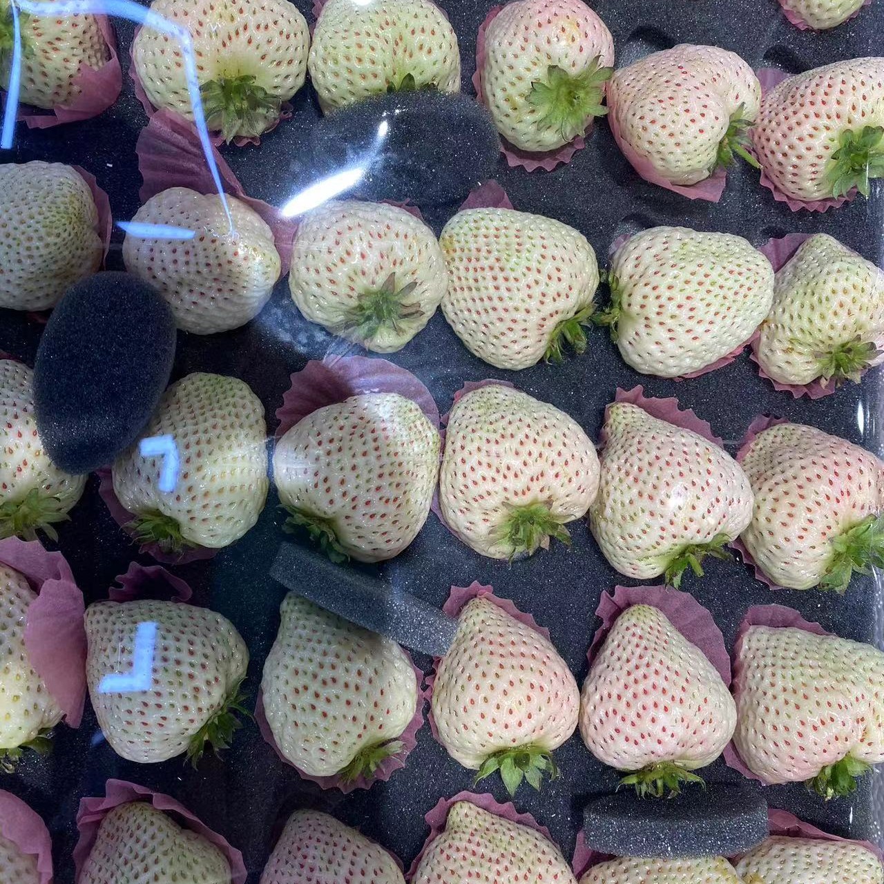 （河北）白雪公主草莓一斤