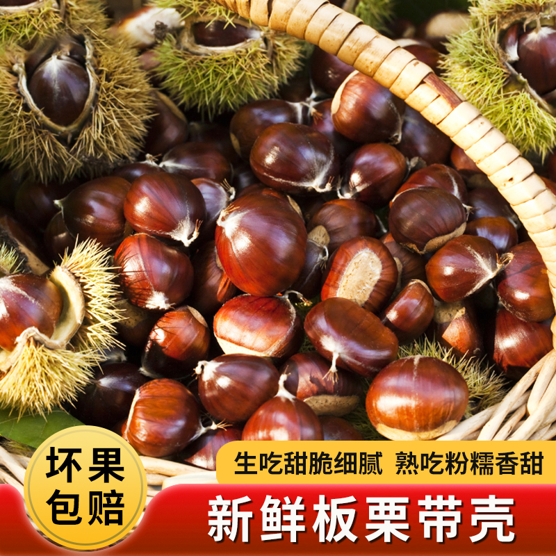 高山老树板栗带壳糯板栗不带刺球【坏果烂果包赔】