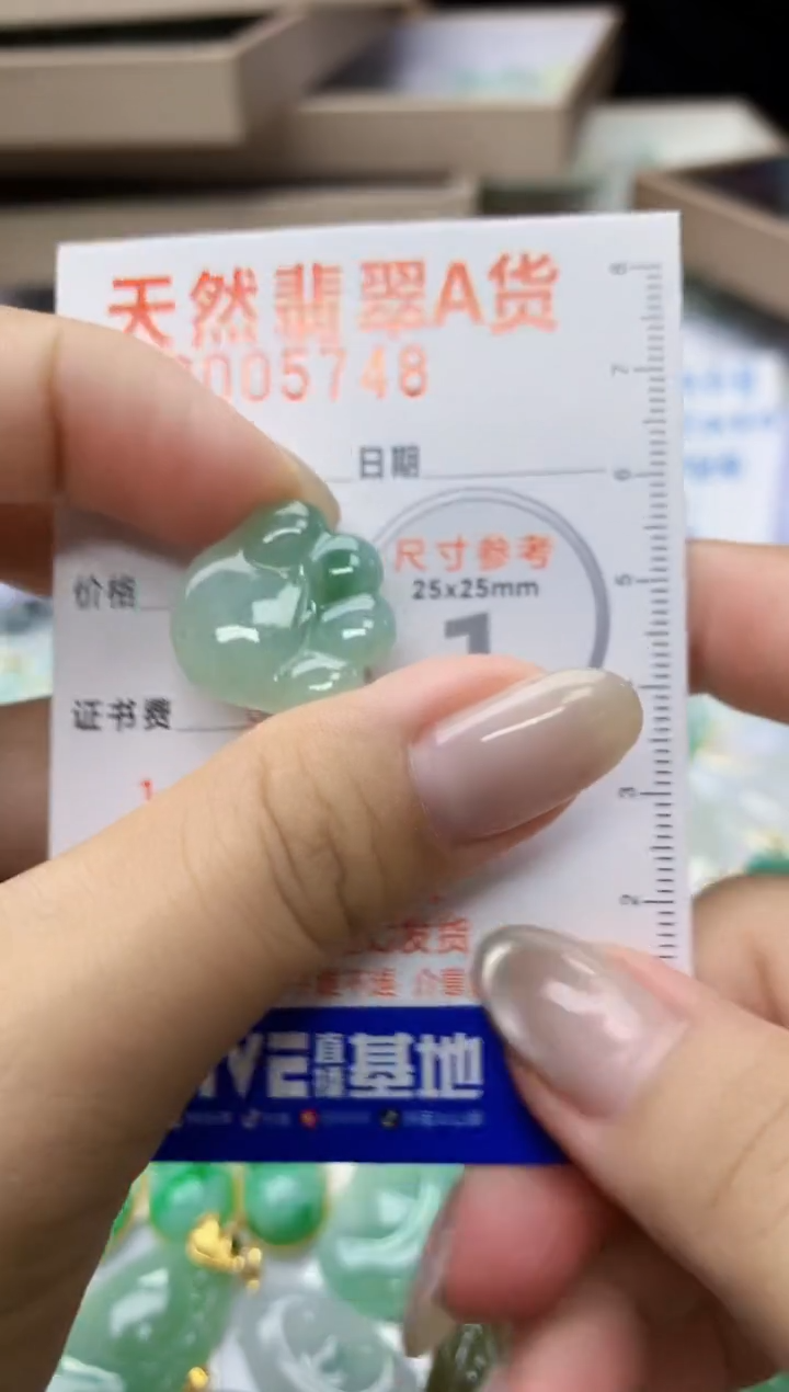 颈饰未镶嵌翡翠天然翡翠A货
