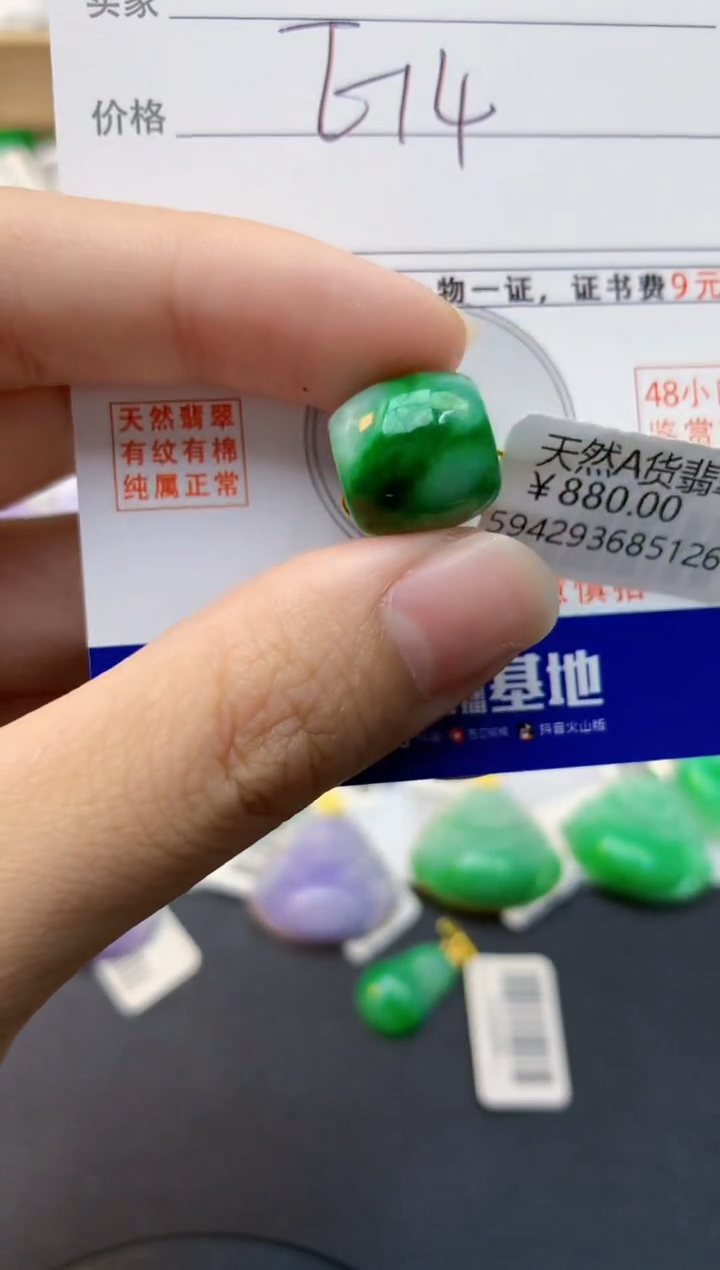 颈饰未镶嵌翡翠天然缅甸A货翡翠百元以上9元证书费自理