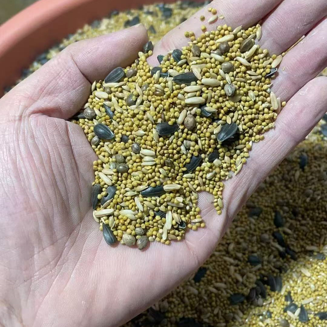 [鑫鑫萌宠】玄凤 牡丹 大头 虎皮鹦鹉混合粮食营养均衡厂家直发